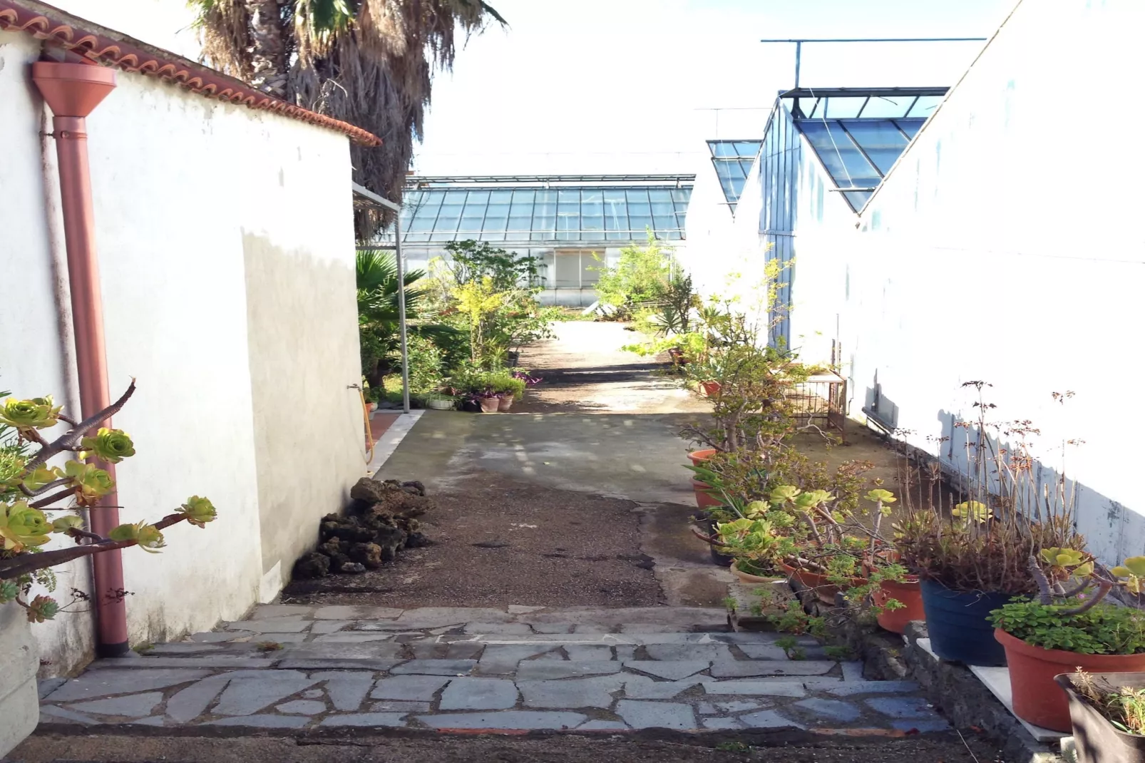 Pompei-Jardin d'été