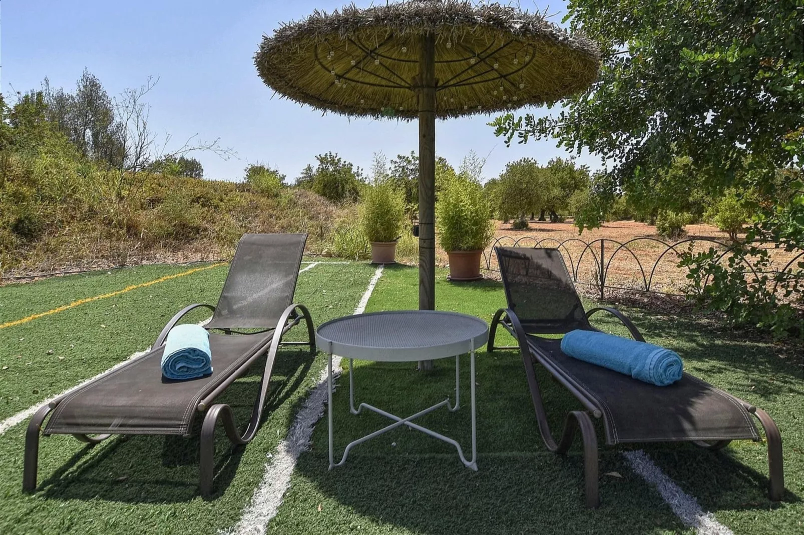 Caseta-Gardens summer