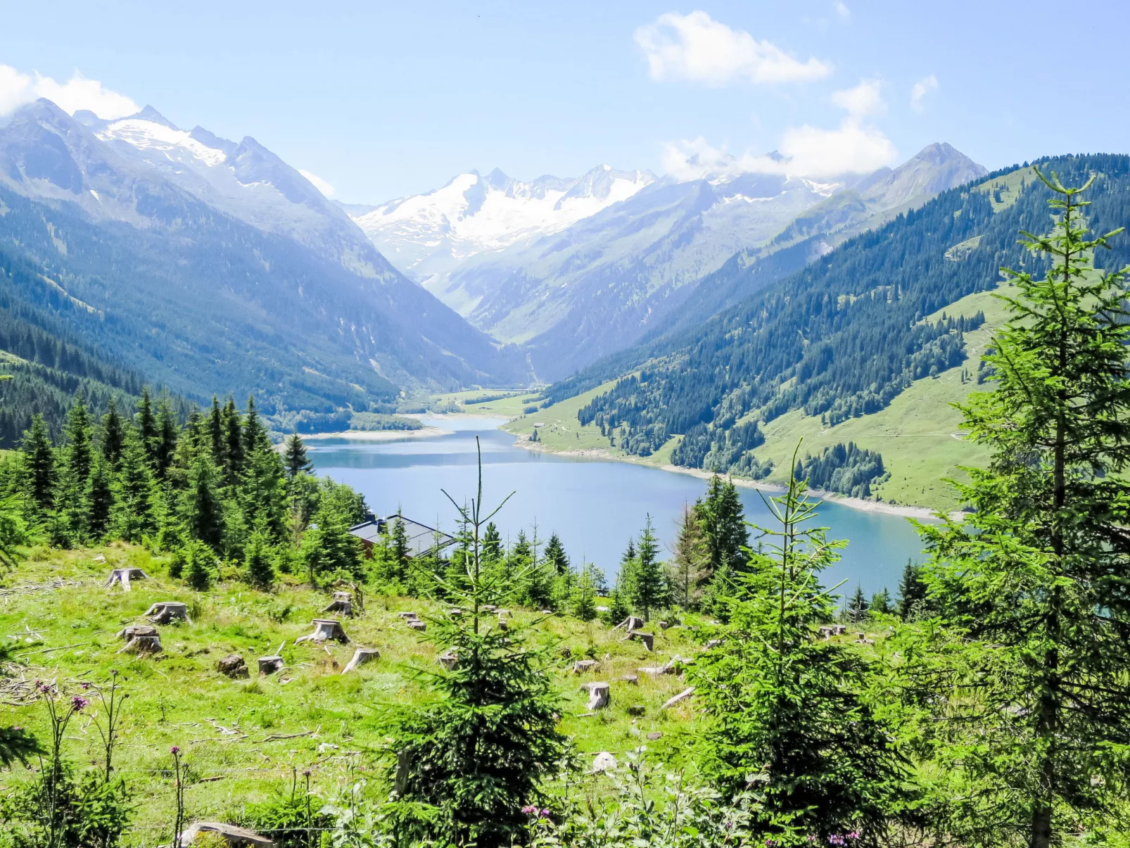 Alpenblick-Draußen