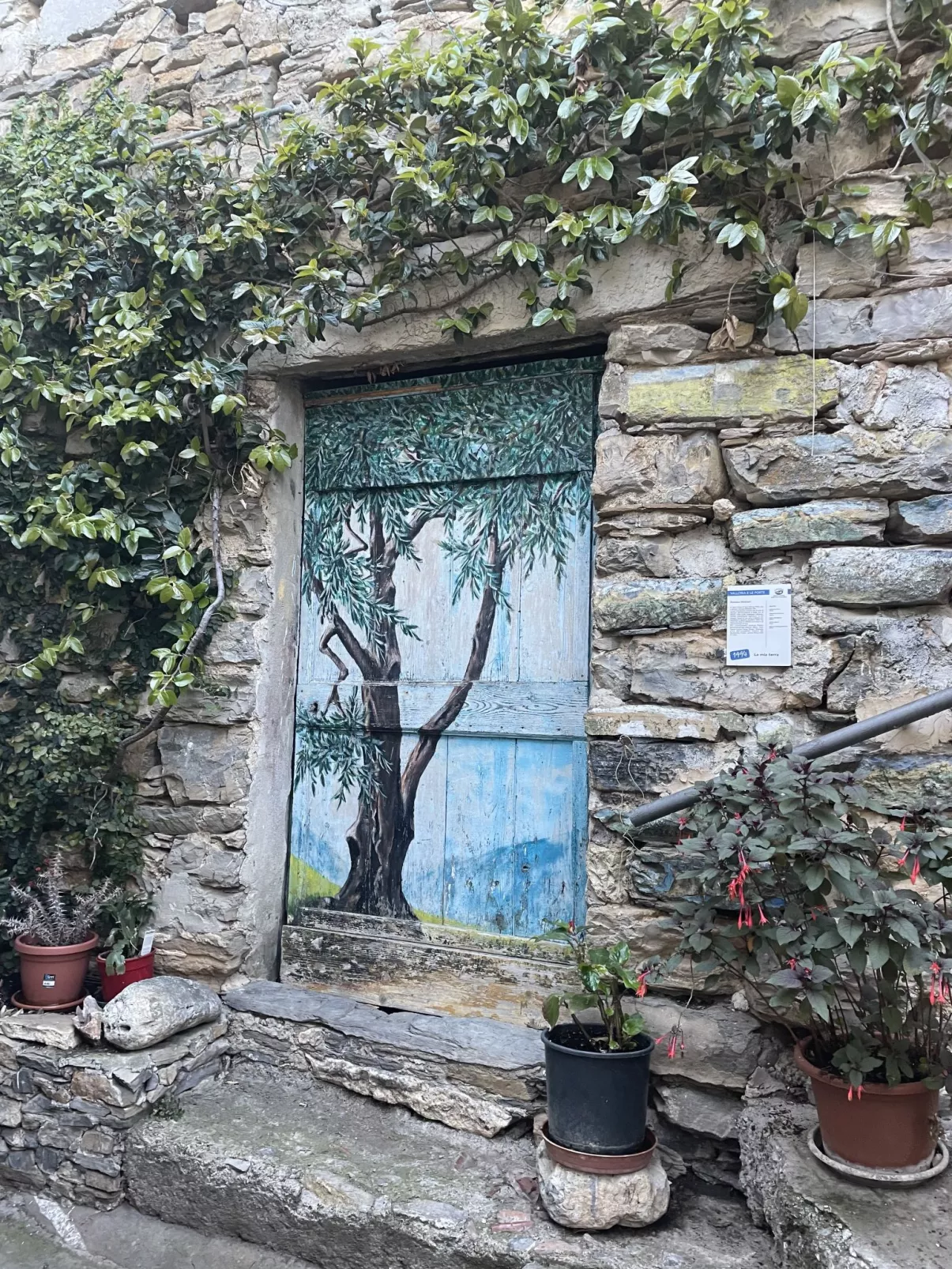 Ca' da Ciassa (VLO130)-Area