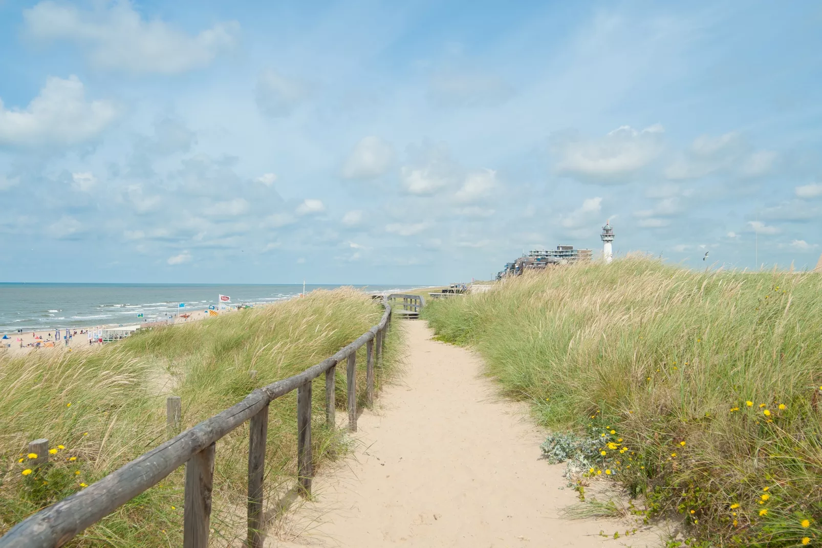 Onder de molen-Areas summer 5km