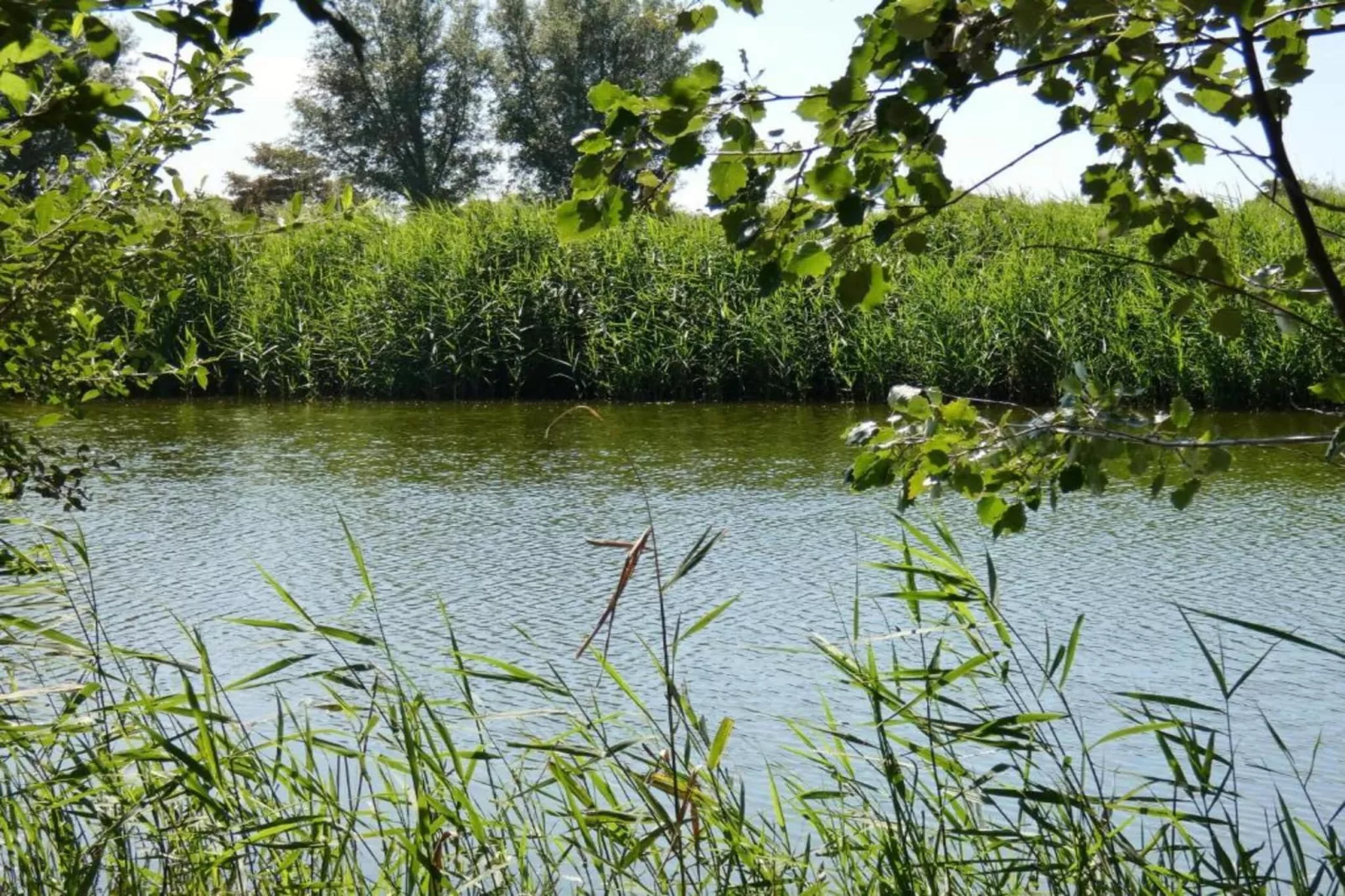 Het Platte Putje - Huisdier - nr 2-Areas summer 20km