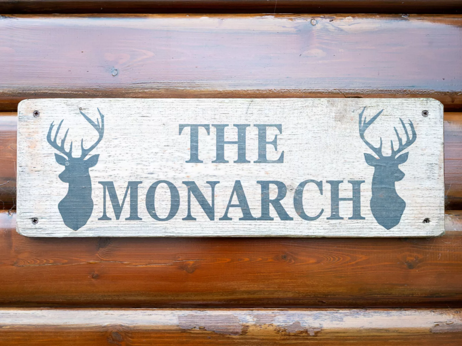 Monarch-Dedans