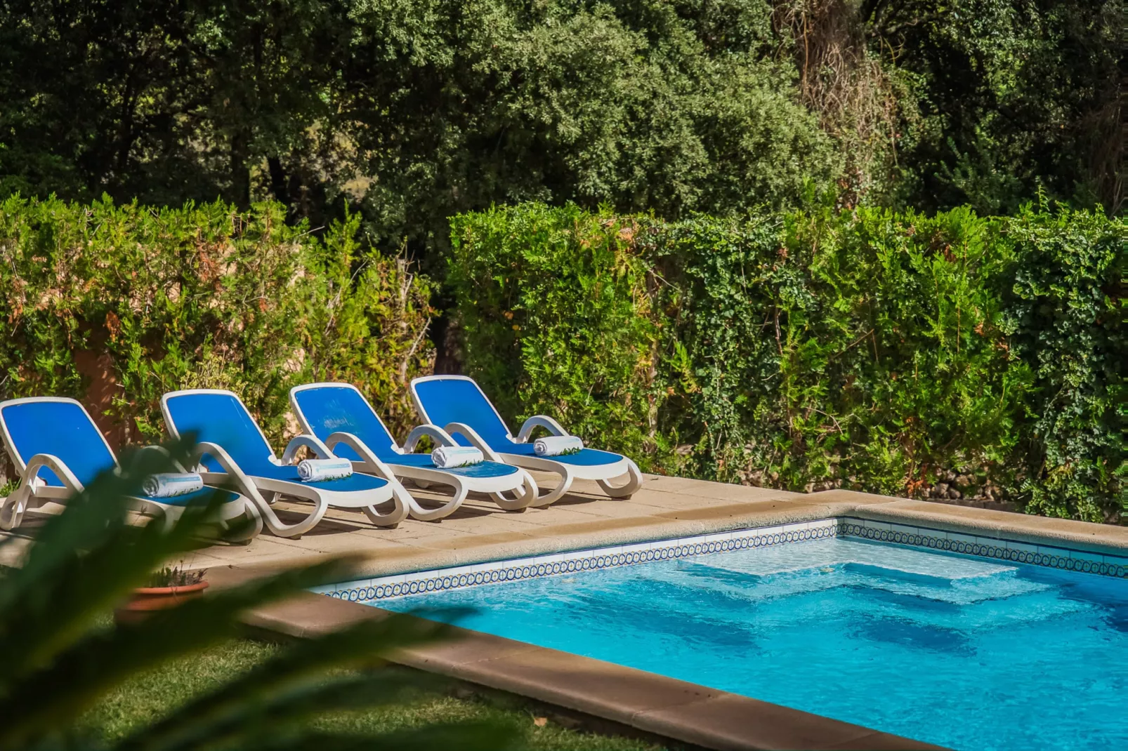 Esteban-View summer