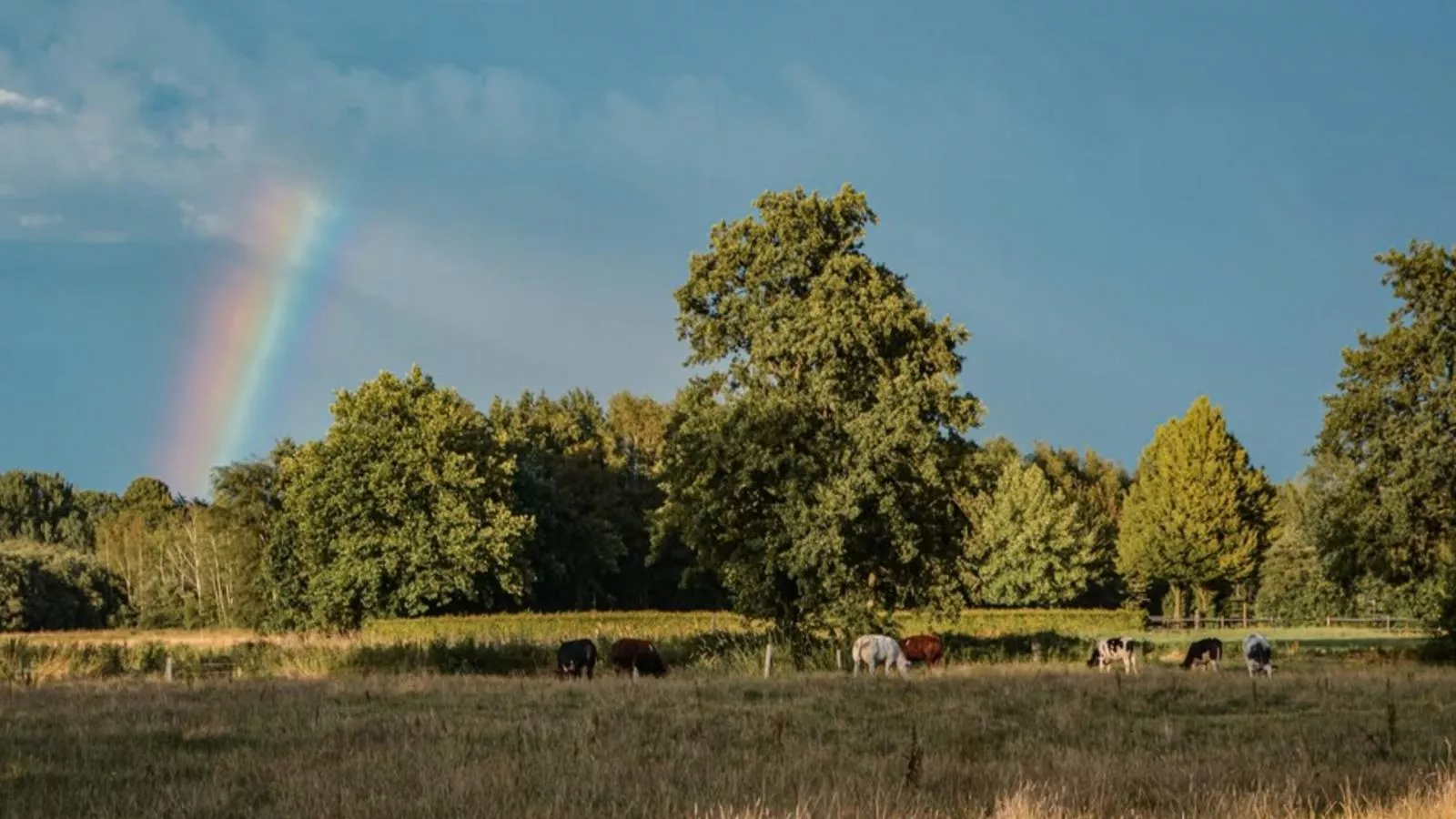 Uilenhof-Aussicht Sommer