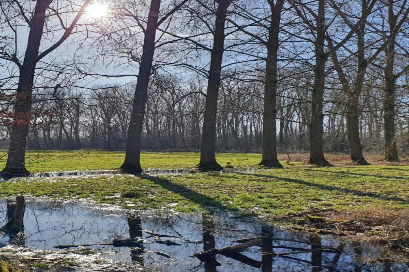De woelige stal-Areas summer 20km