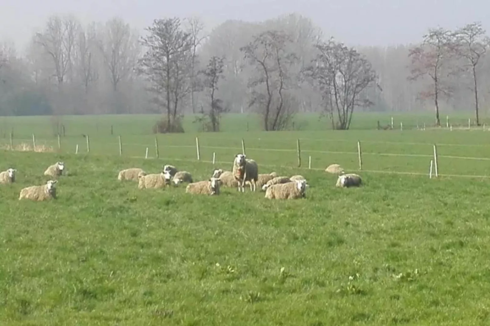 De oude stal-Gebiete Sommer 20 km