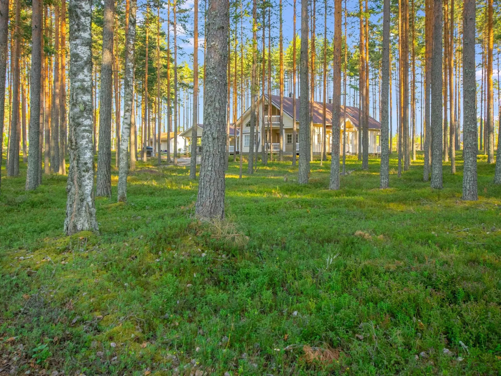 Mäntylahti-Draußen