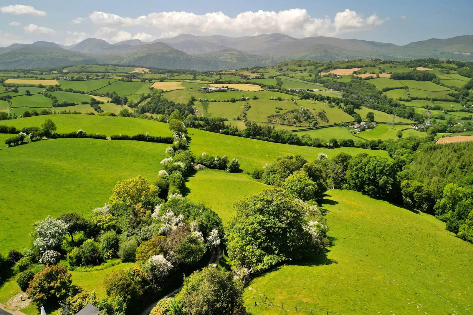 Red Kites Retreat-Areas summer 20km