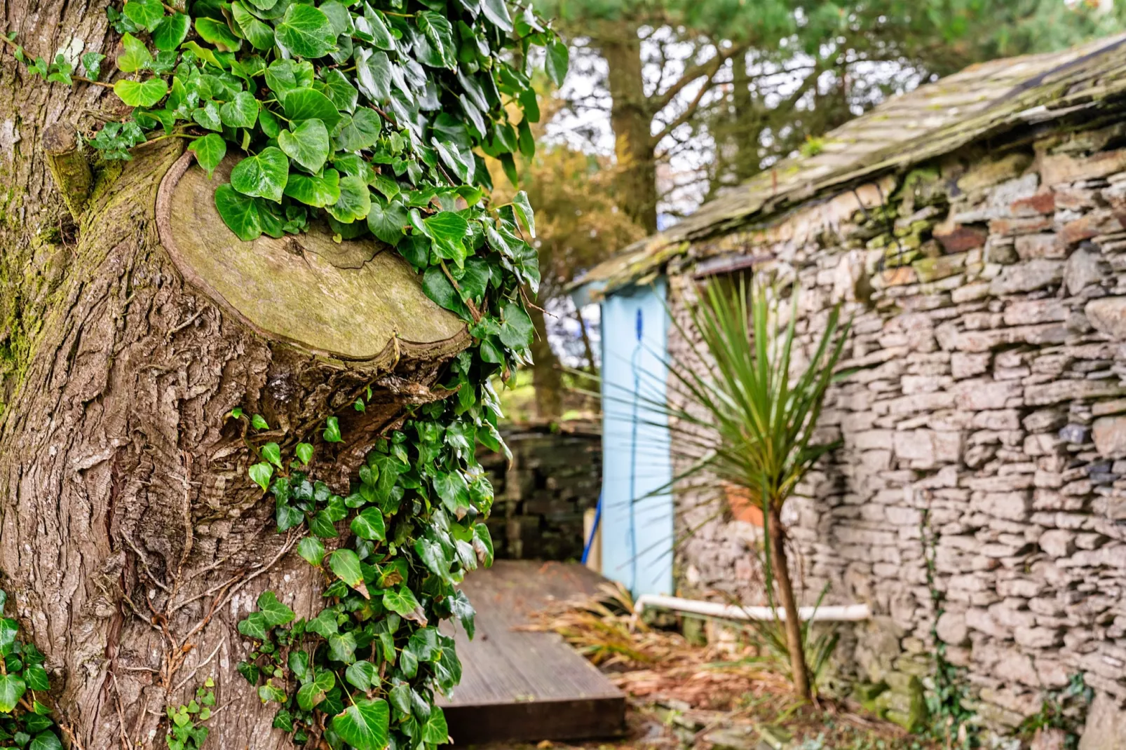 Fisherman's Cottage-Ambiente