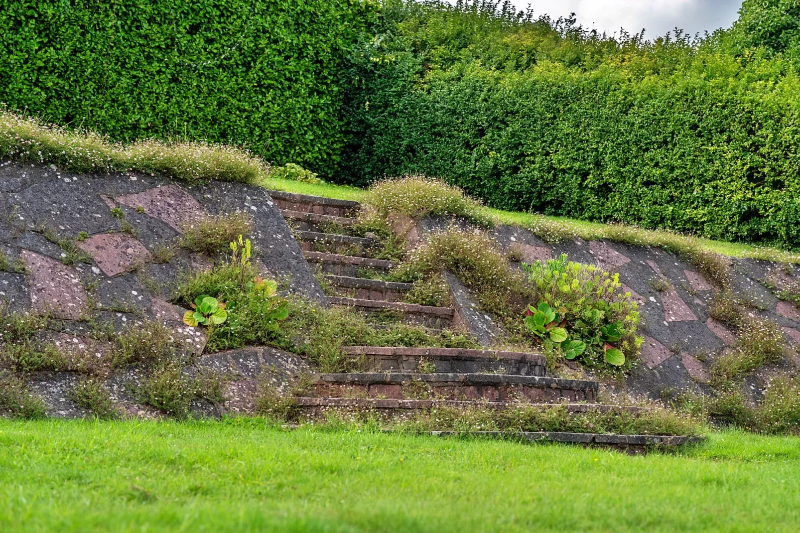 The View-Gardens summer