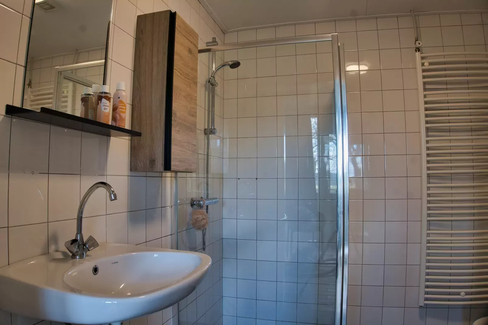 Elperhof Schoonloo 16B-Bathroom