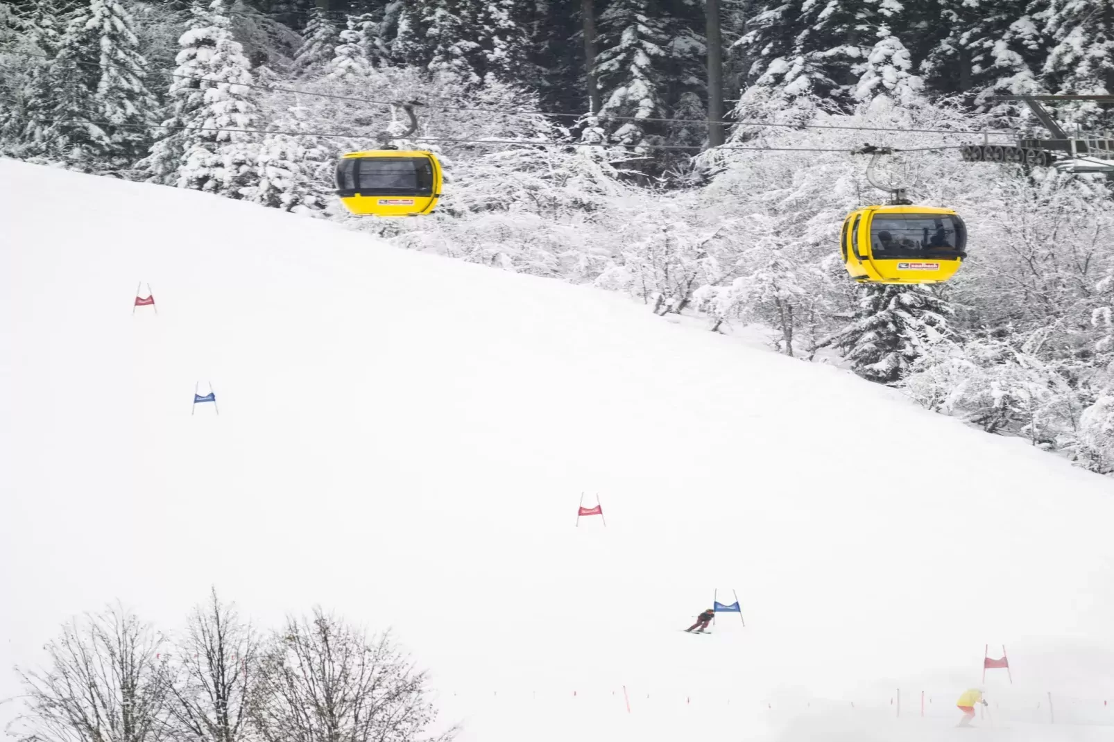 Alpenstyle Resort Fieberbrunn FB2S-Area winter 5km