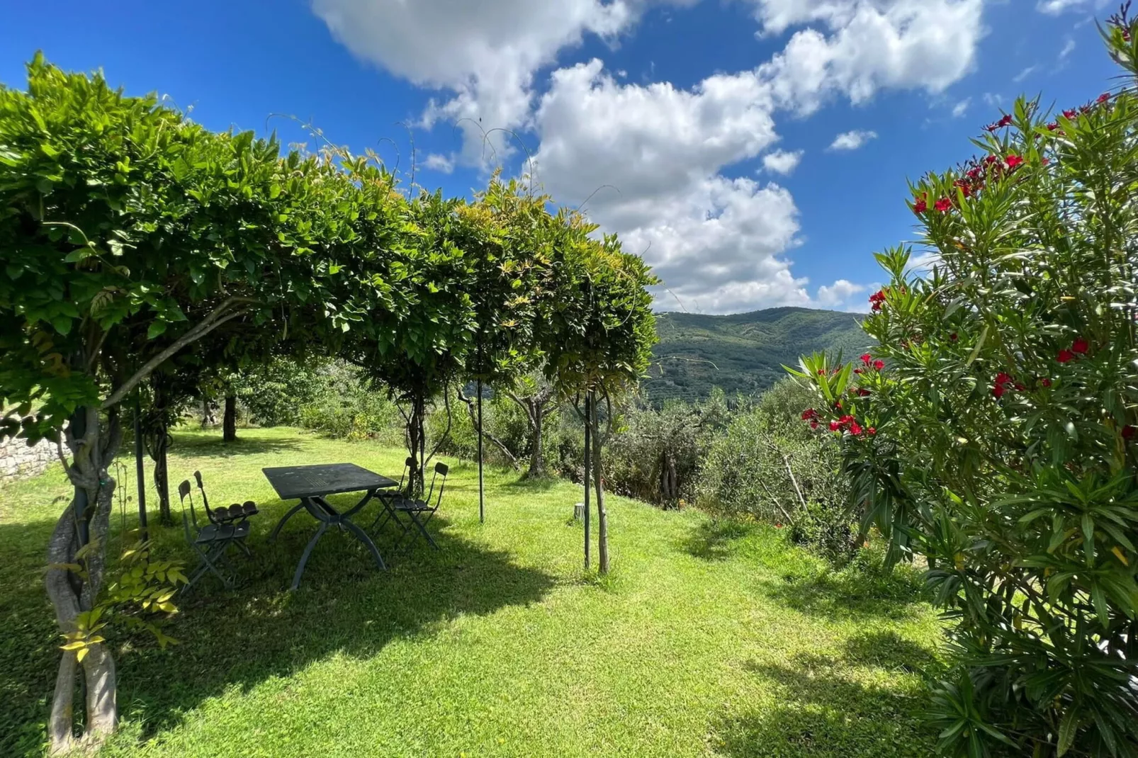 Villa Patrizia-Gardens summer