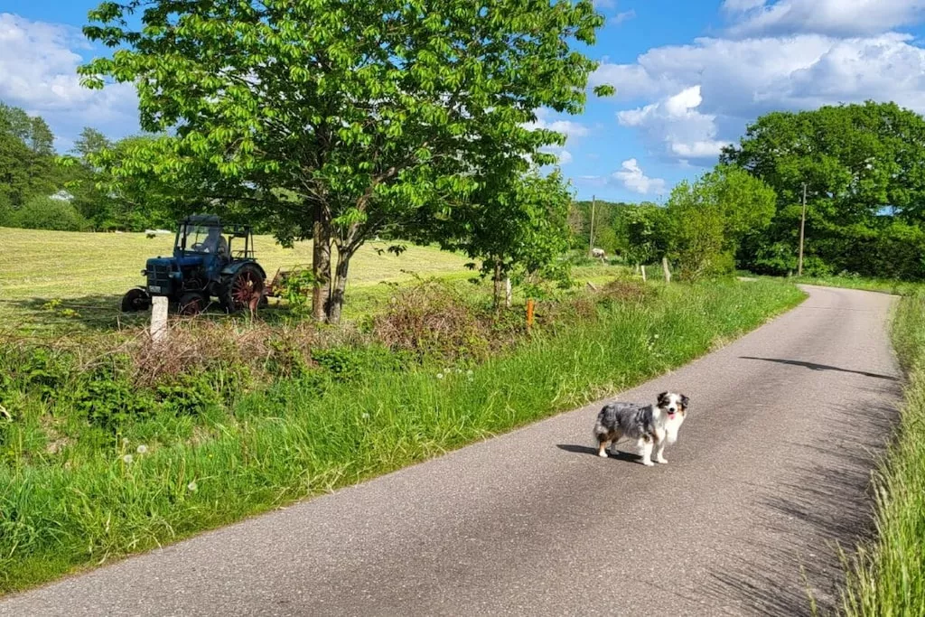 489452-Nicht getaggt