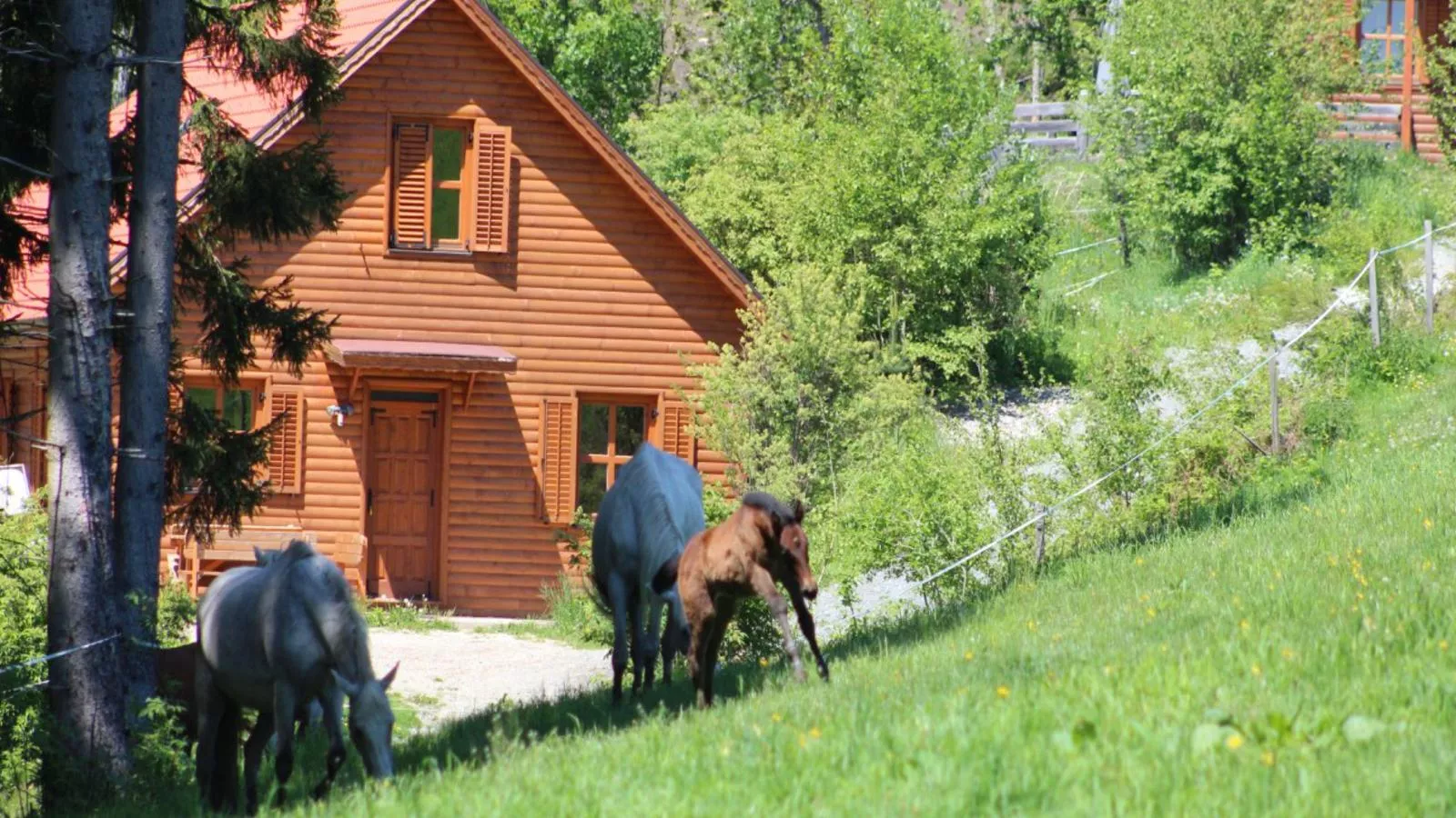 Sternenchalet-Aussicht Sommer