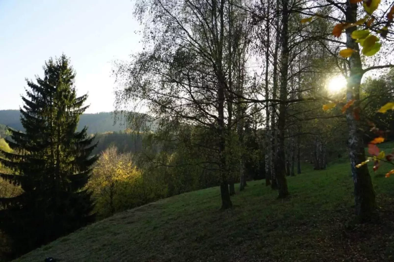 Altes Bootshaus 3-Areas summer 20km