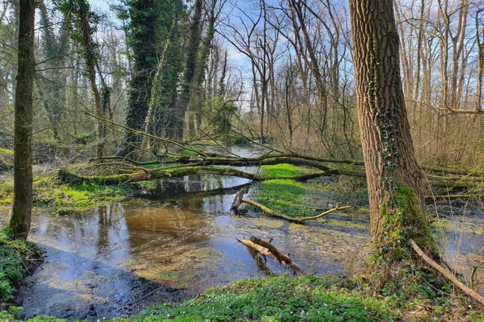 De oude stal-Gebiete Sommer 20 km