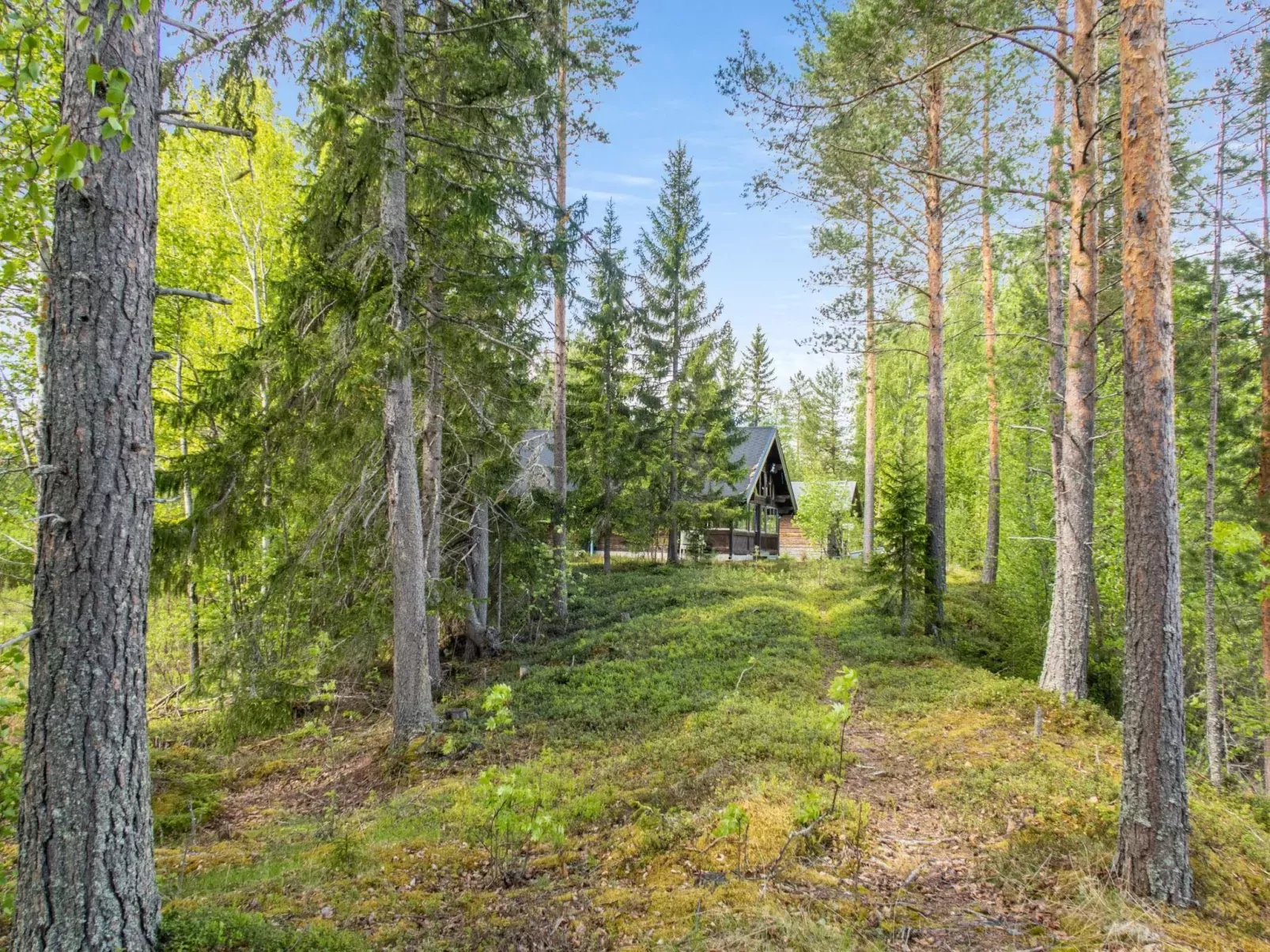 Kotimökki-Outside