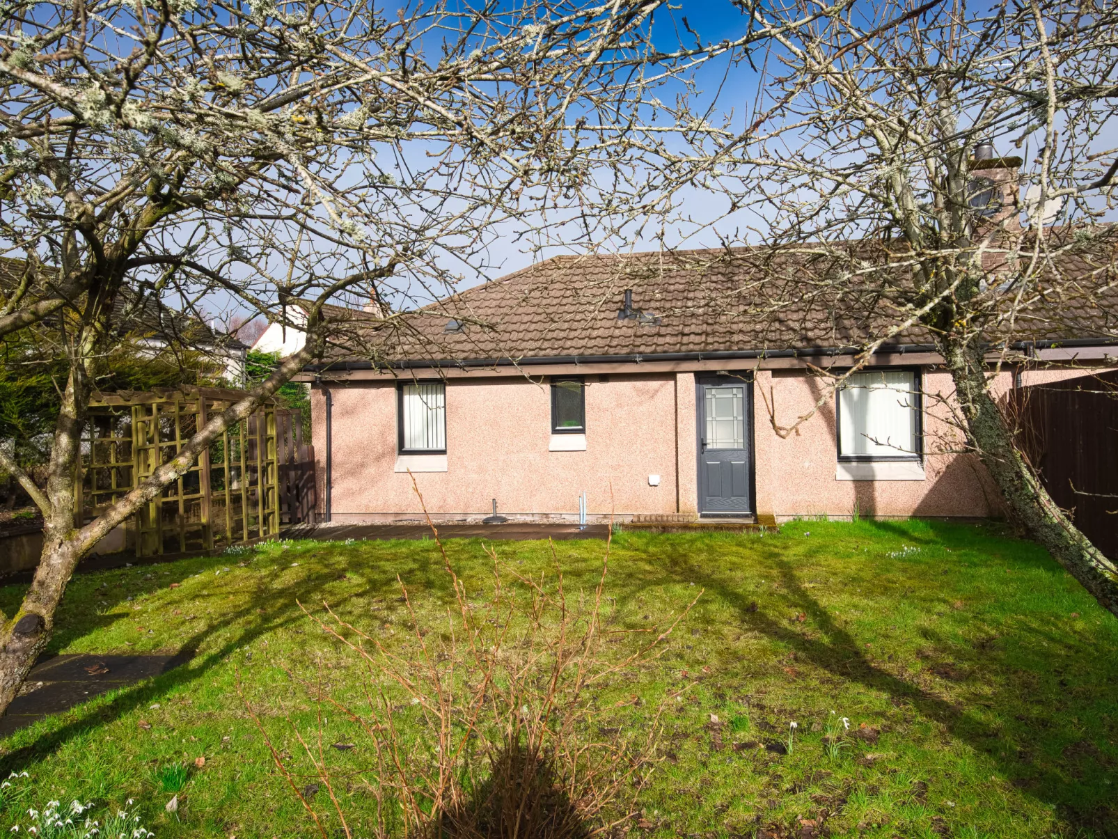 Appletree-Outside