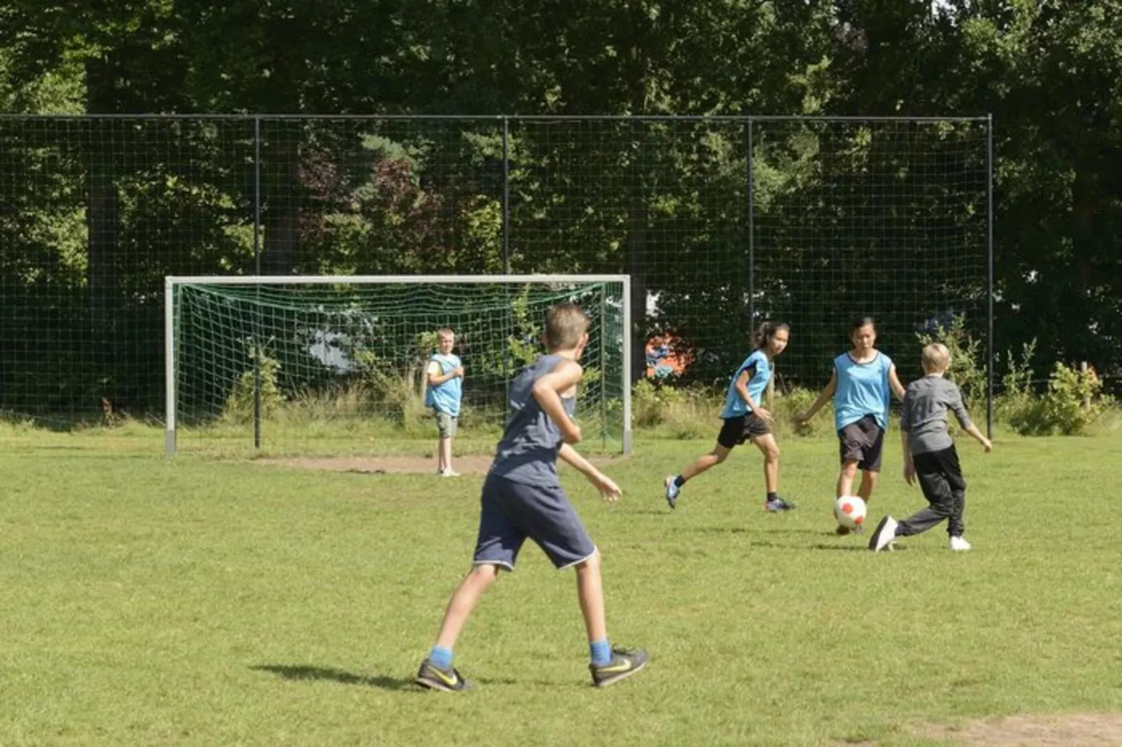 Parkchalet | 2 - 4 pers.-Installations du parc