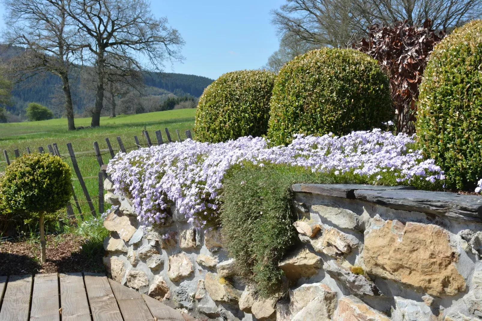 Spineux-Jardin d'été