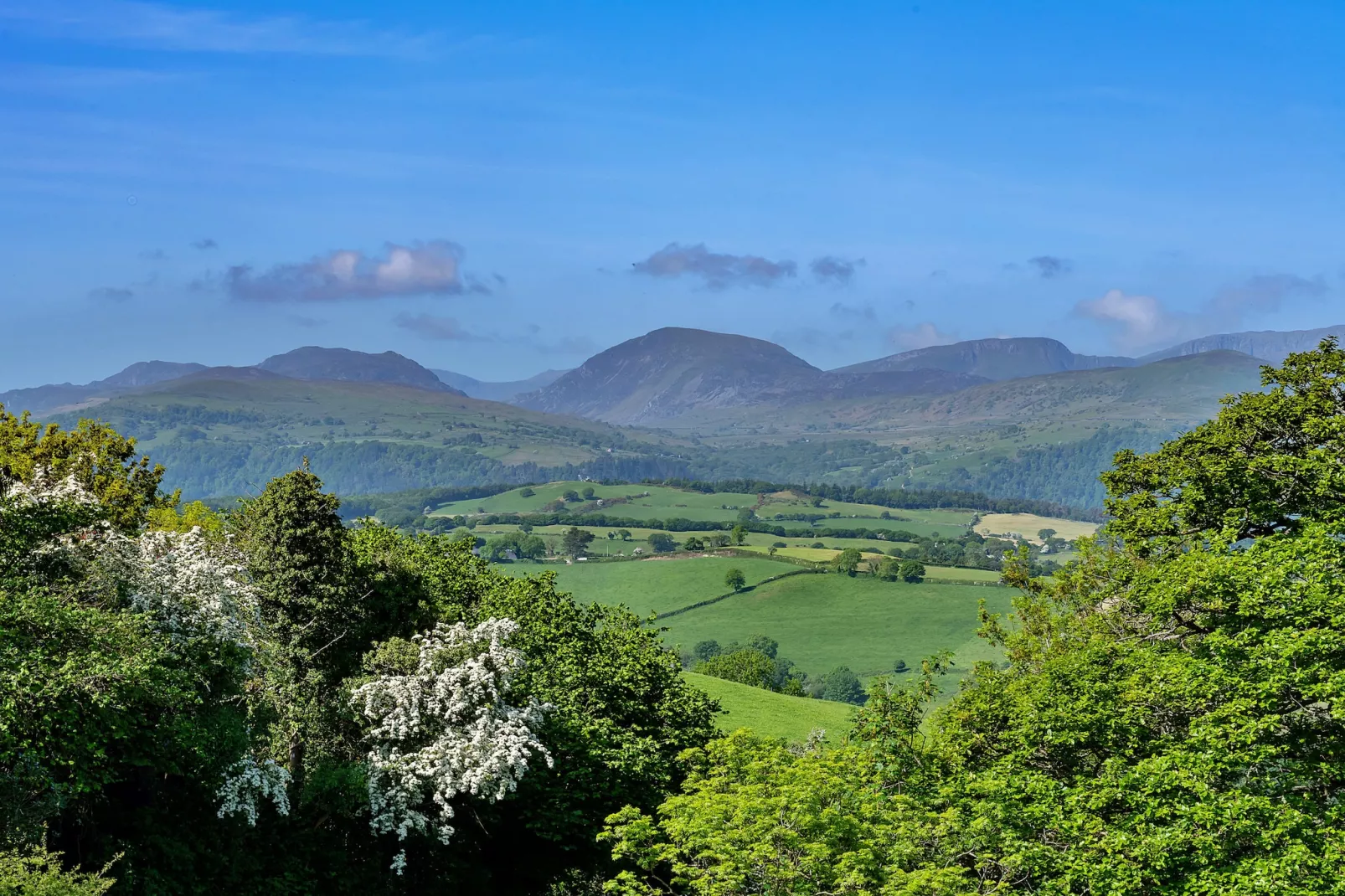 Red Kites Retreat-Areas summer 20km