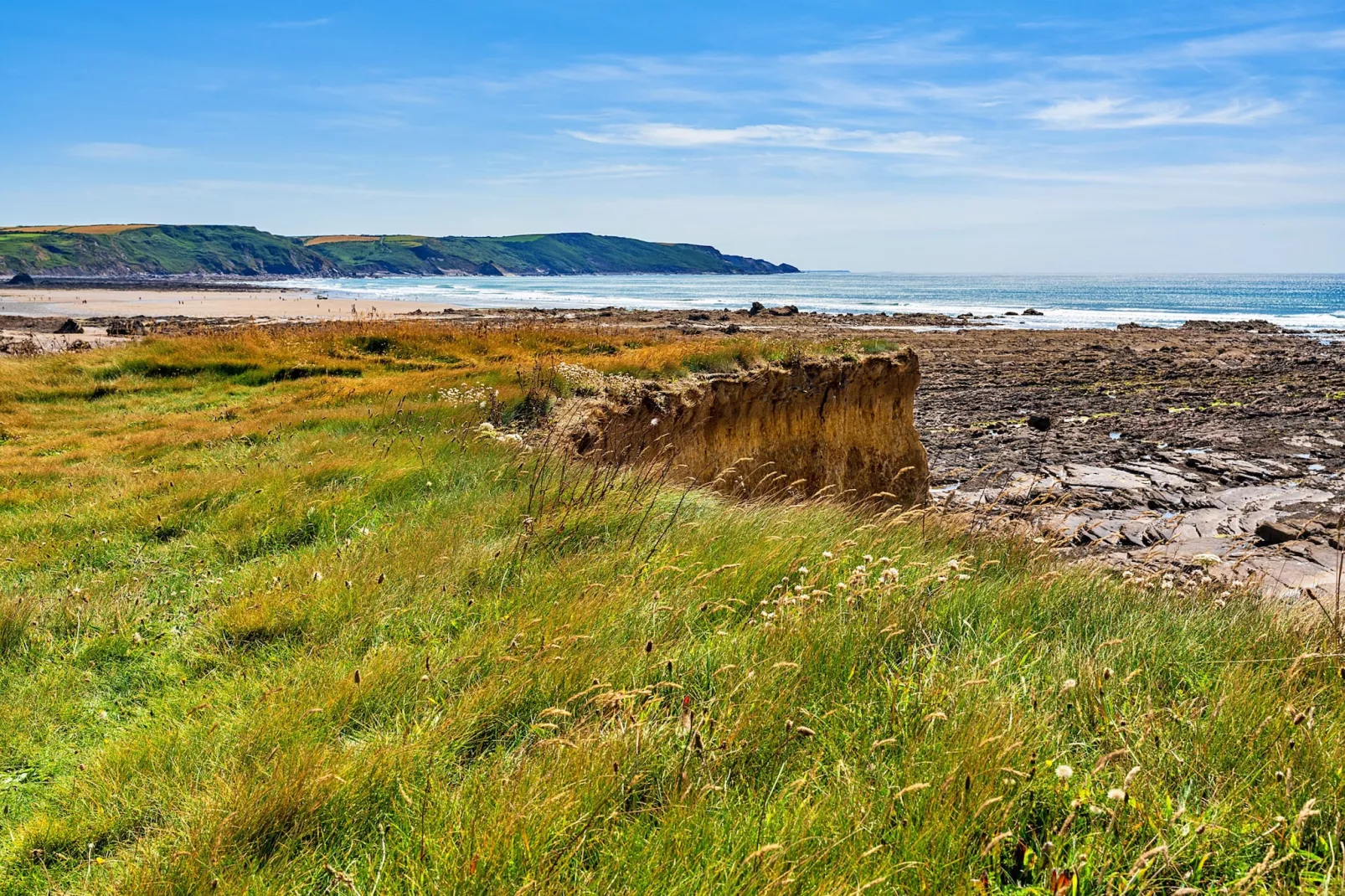 Driftwood-Areas summer 5km