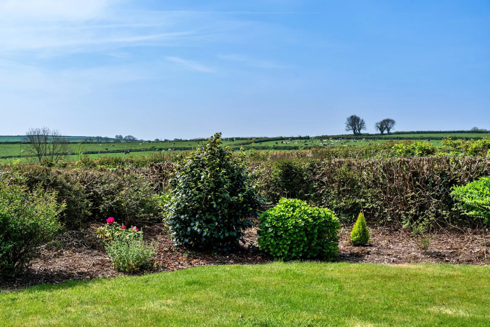 Cutkieve Farm Cottage-Gardens summer