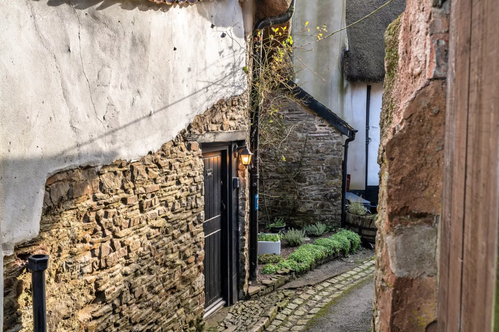 Hope Thatch-Extérieur
