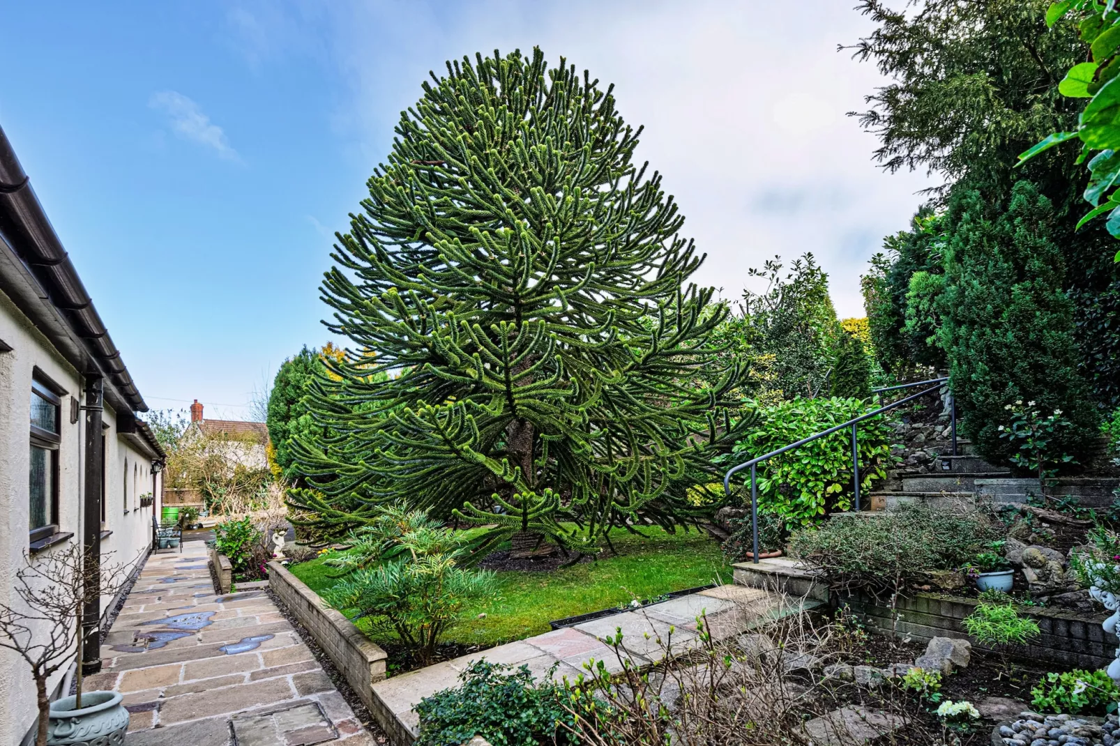 Cesail Y Mynydd-Gardens summer