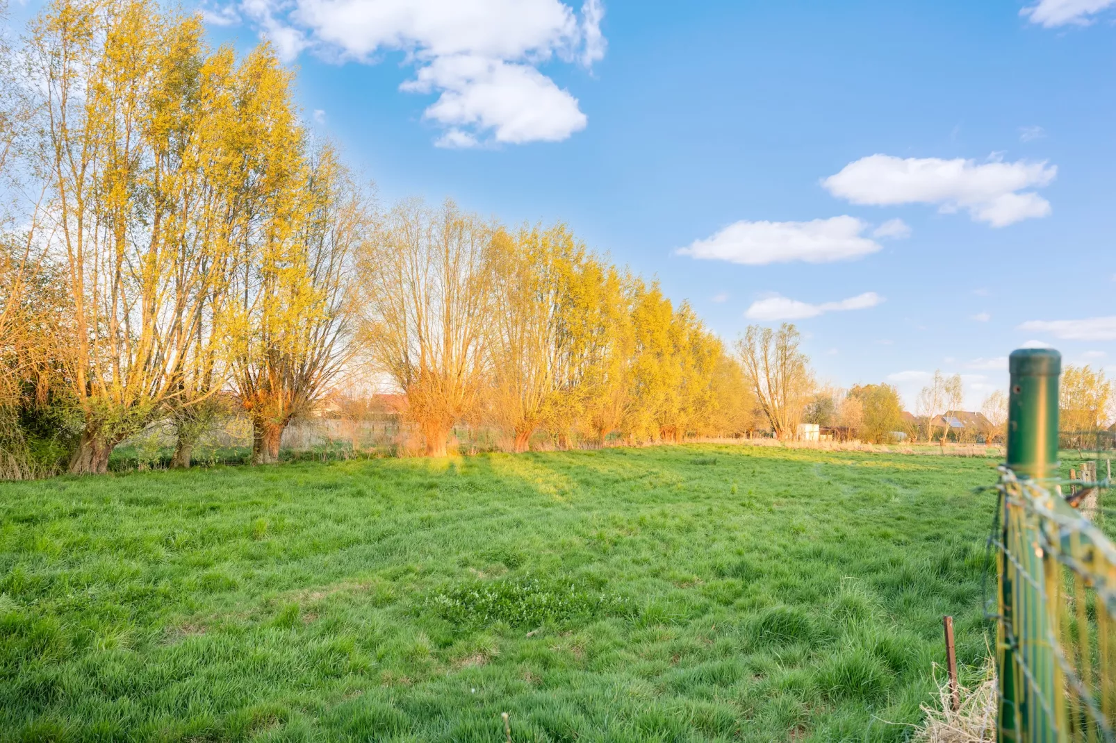 't Bloemenhof-Zones d'été à 5 km