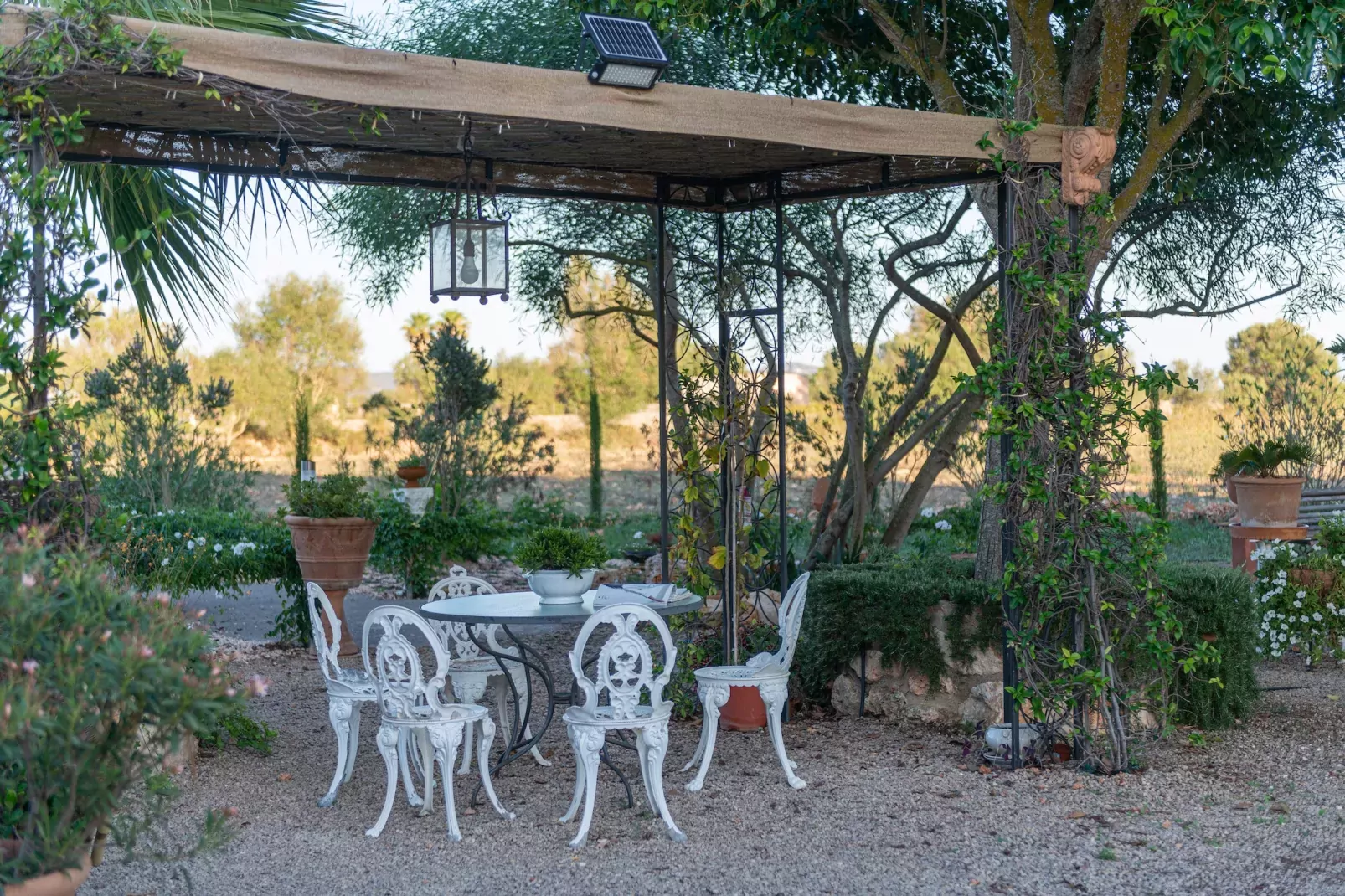 Banc Doli-Terrace balcony