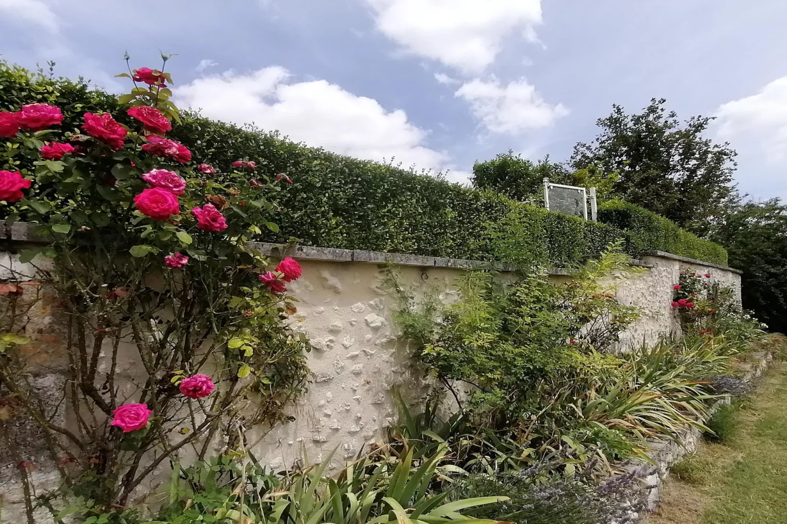 Maison de vacances Lusignac zonder gastverblijf-Gardens summer