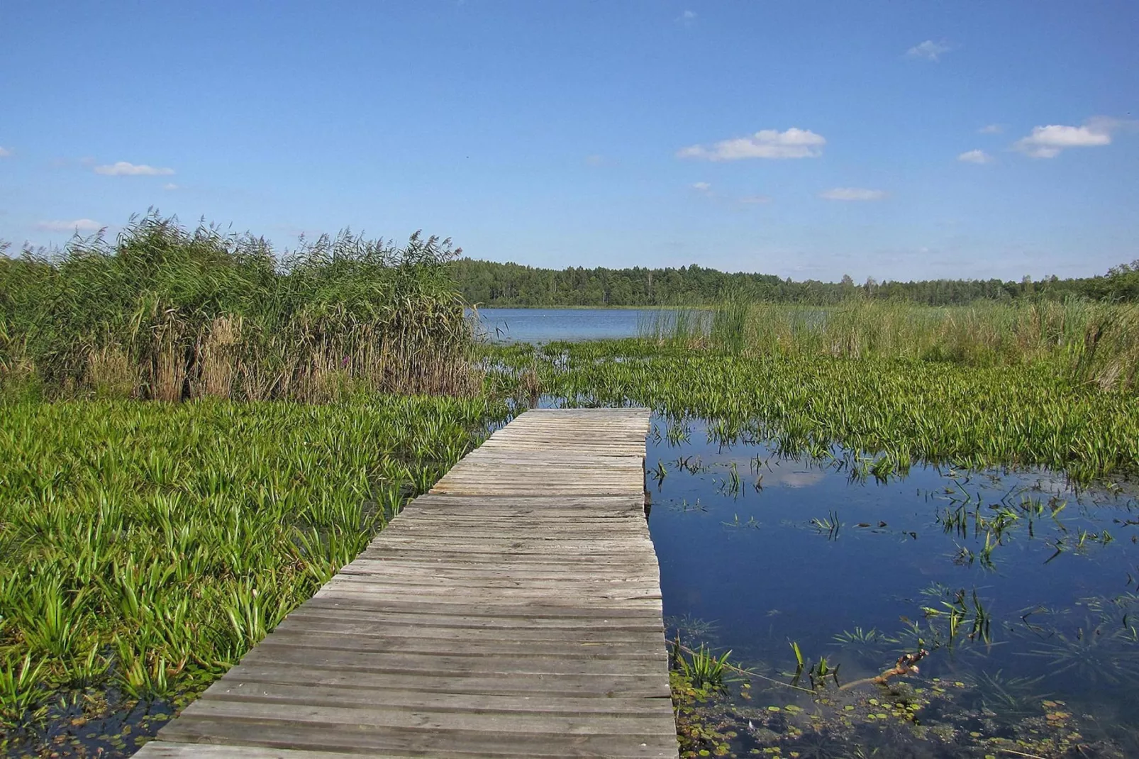 Holiday home Wilkasy-Areas summer 5km