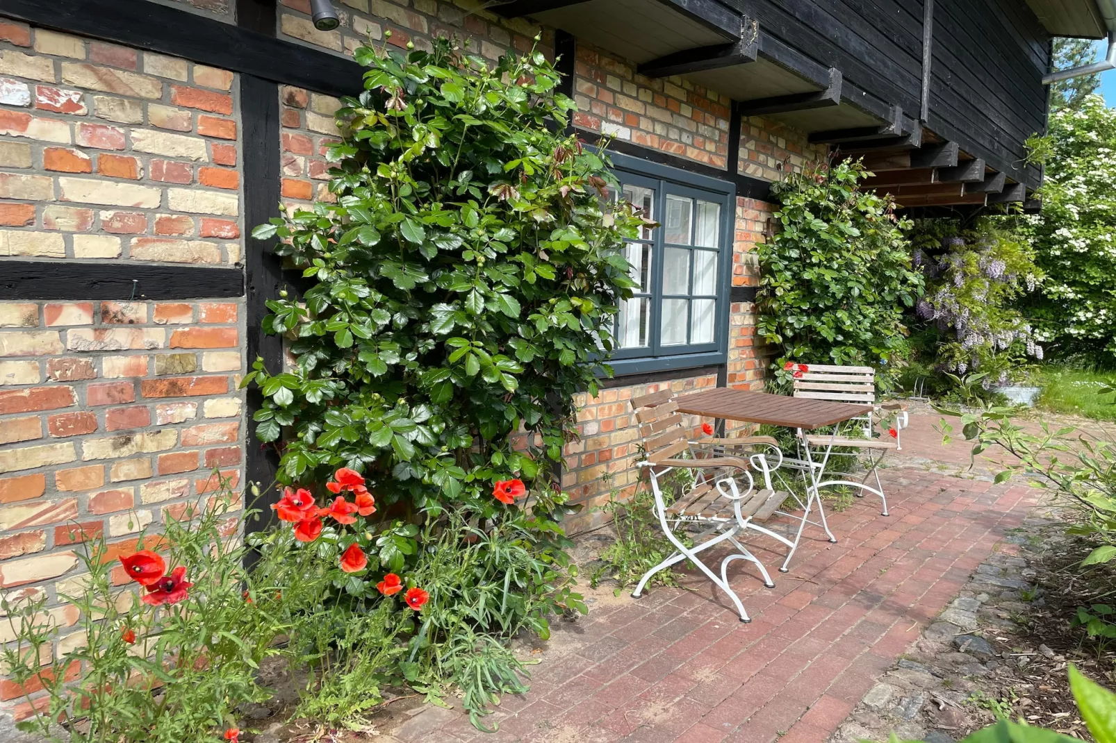Moderne Ferienwohnung 3-Exterior summer