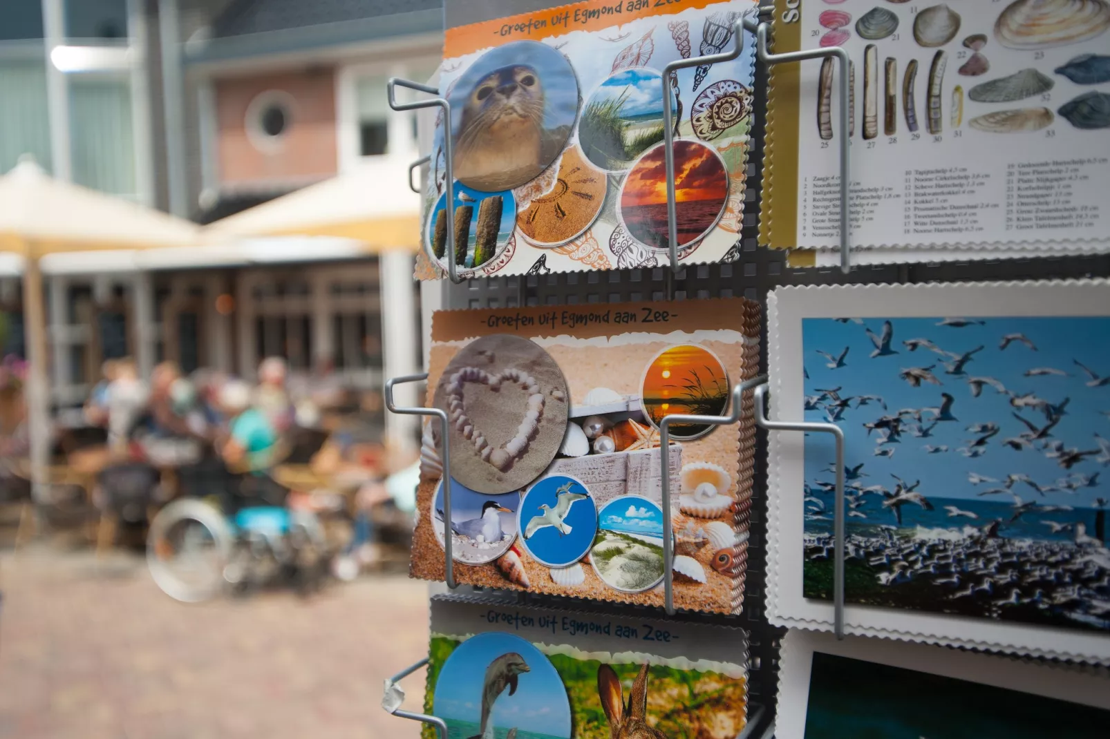 Onder de molen-Areas summer 5km