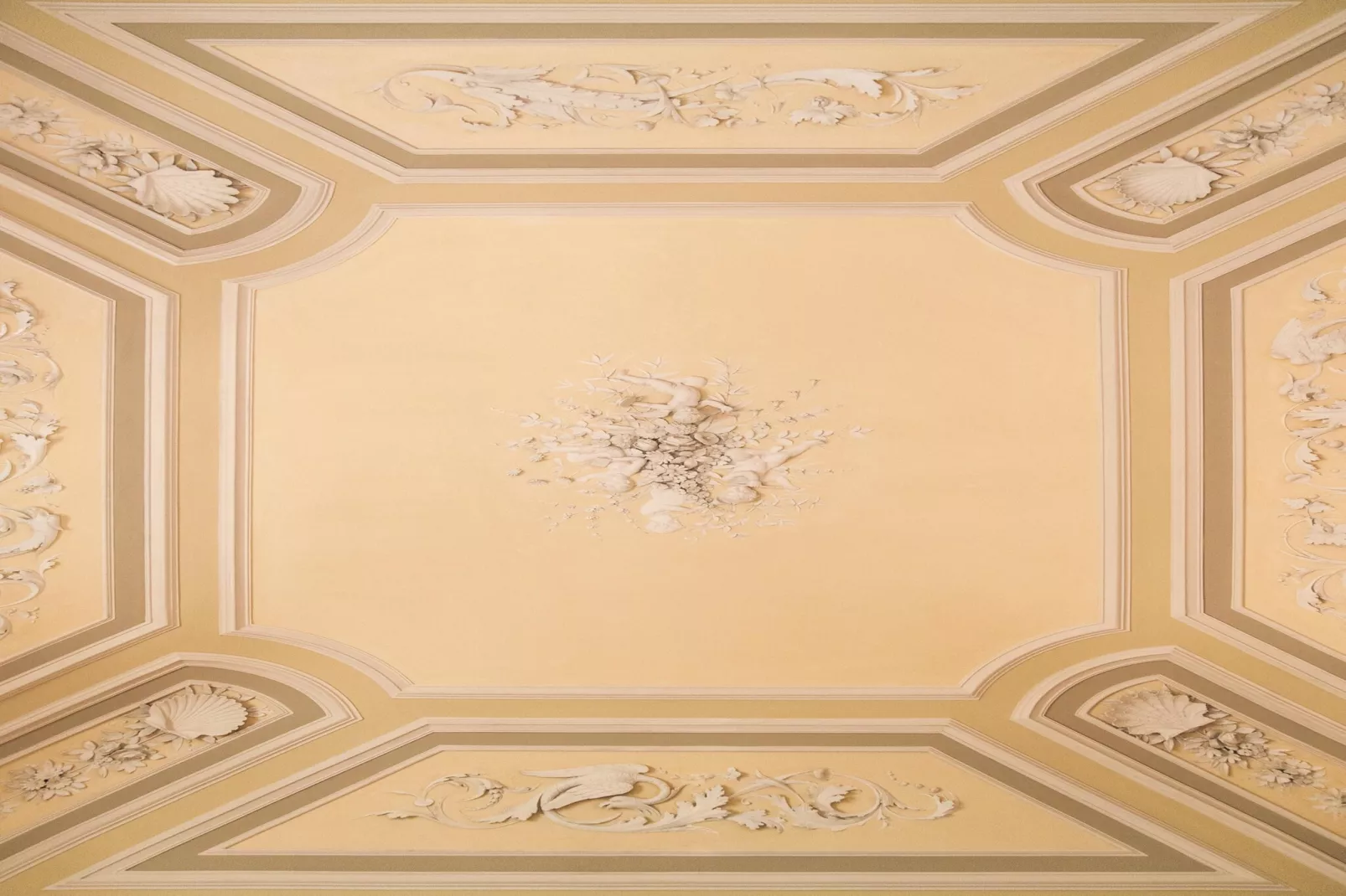 La Fenice Musicante-Ambiance