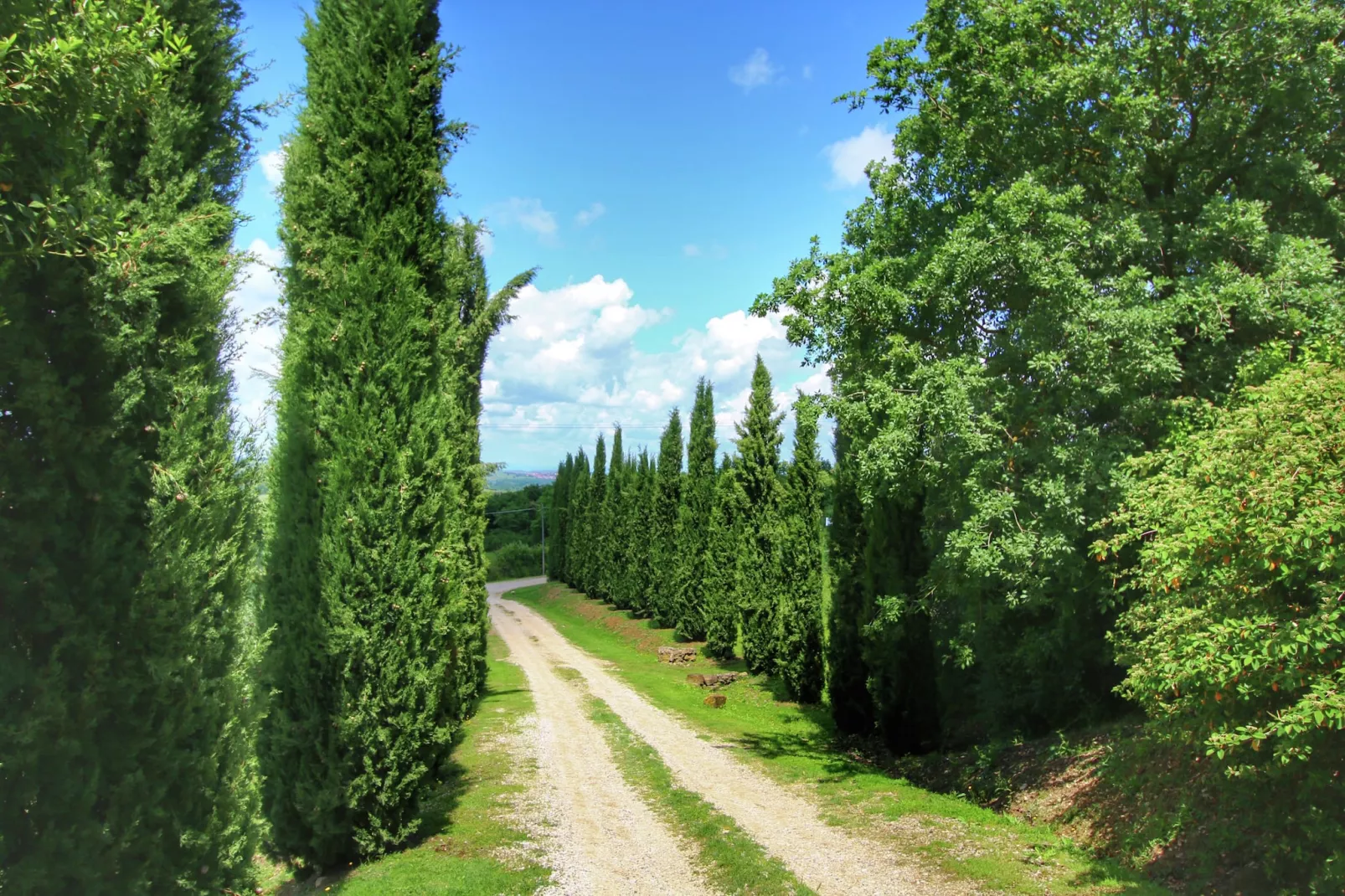 Casa Ligustro-Areas summer 1km