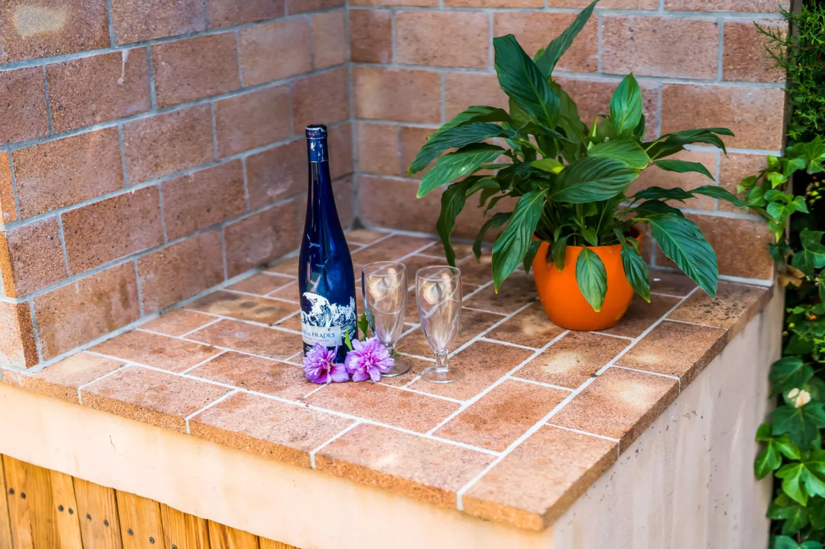 Casa Pequeña-Terrace