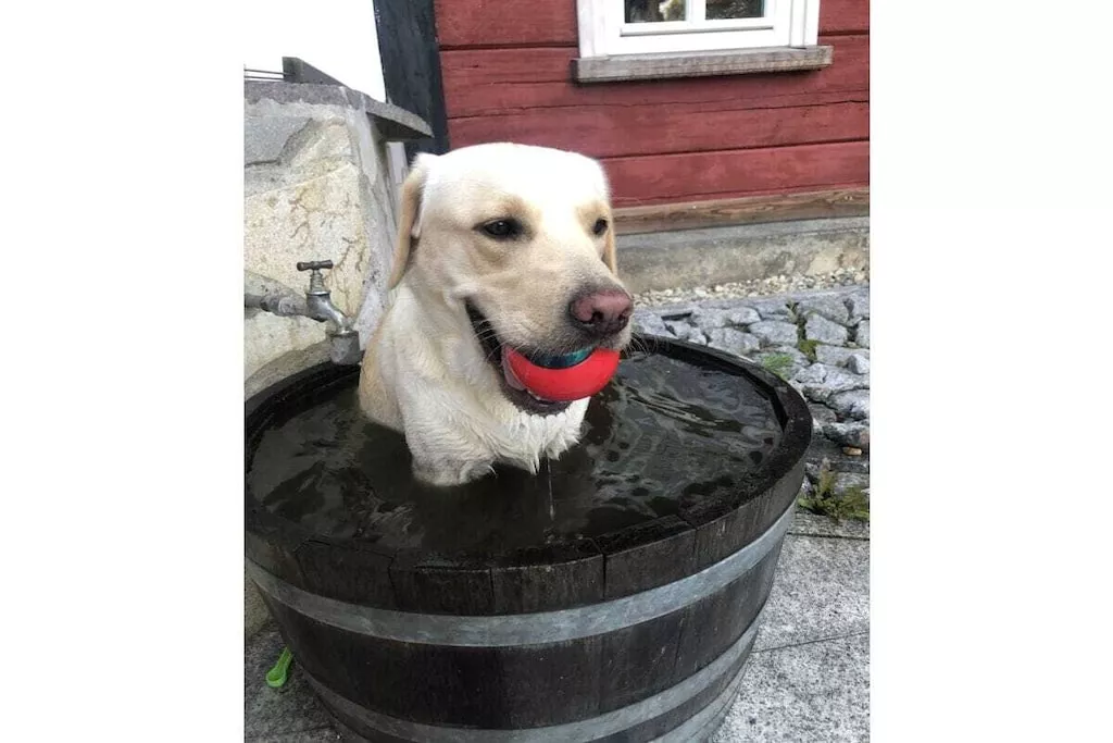 85661-Nicht getaggt