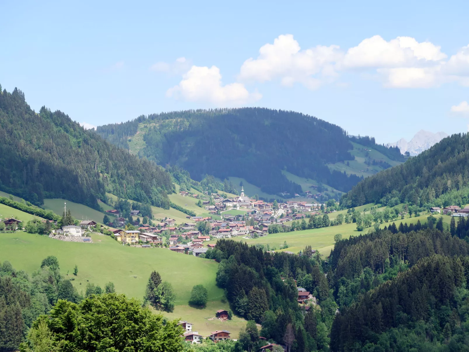 Fichtenblick-Dehors