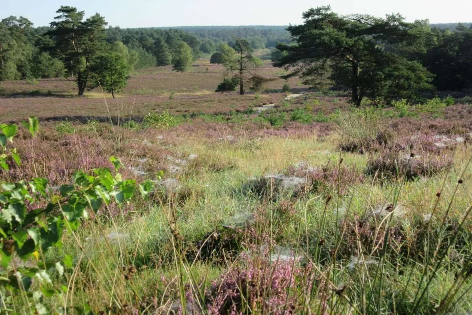 34932-Gebiete Sommer 5 km