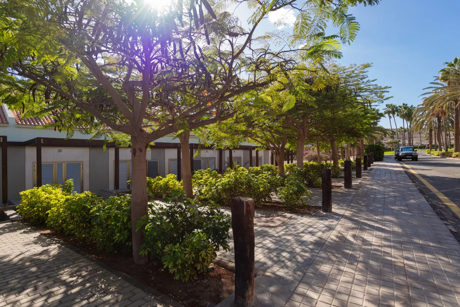 Blue Marlin 5-Outdoor