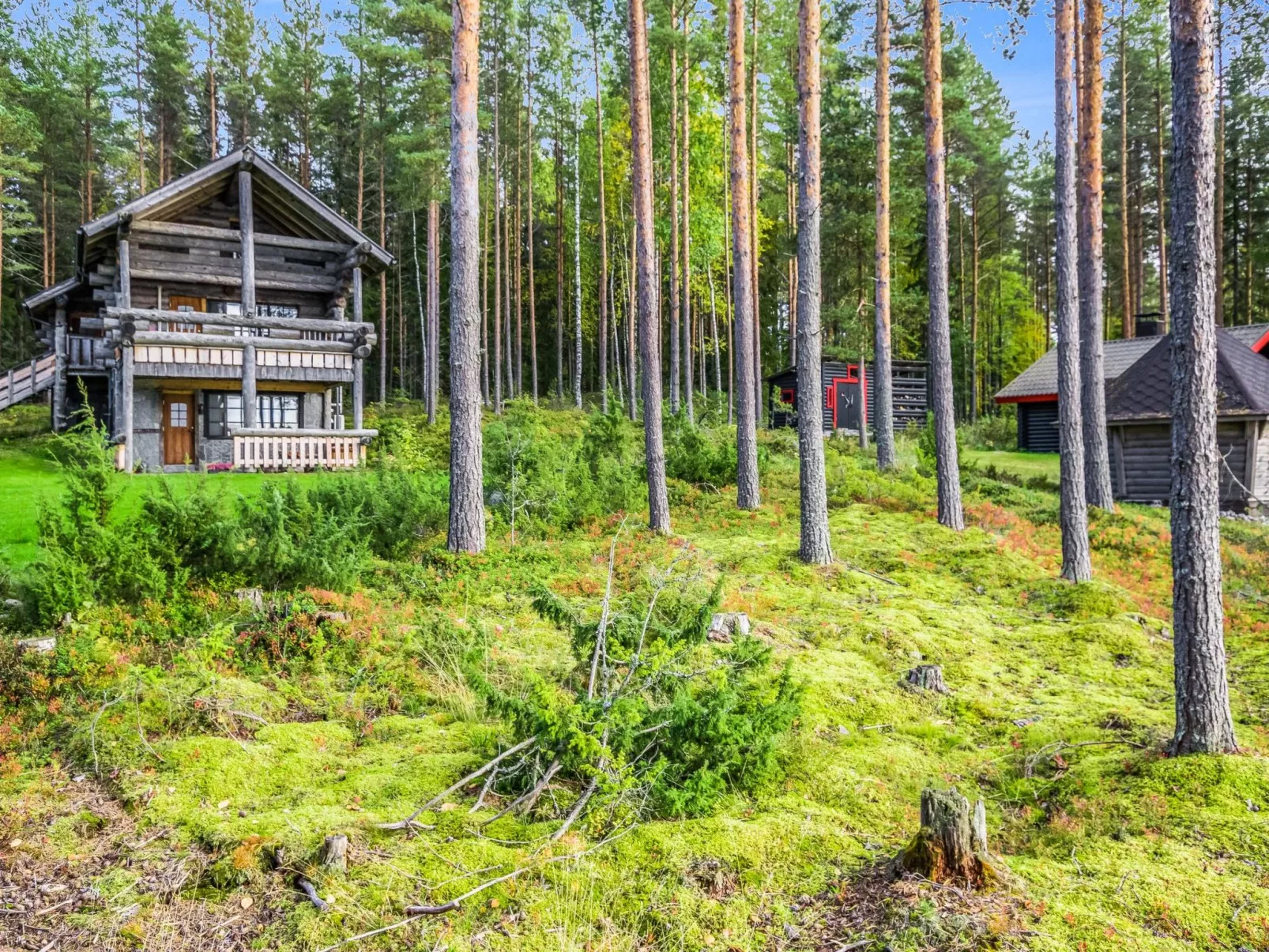 Mäntyranta lodge-Outside