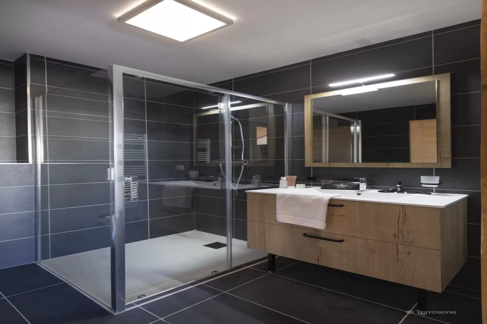 LES DEUX ALPES Neige et Soleil -A50S-Bathroom