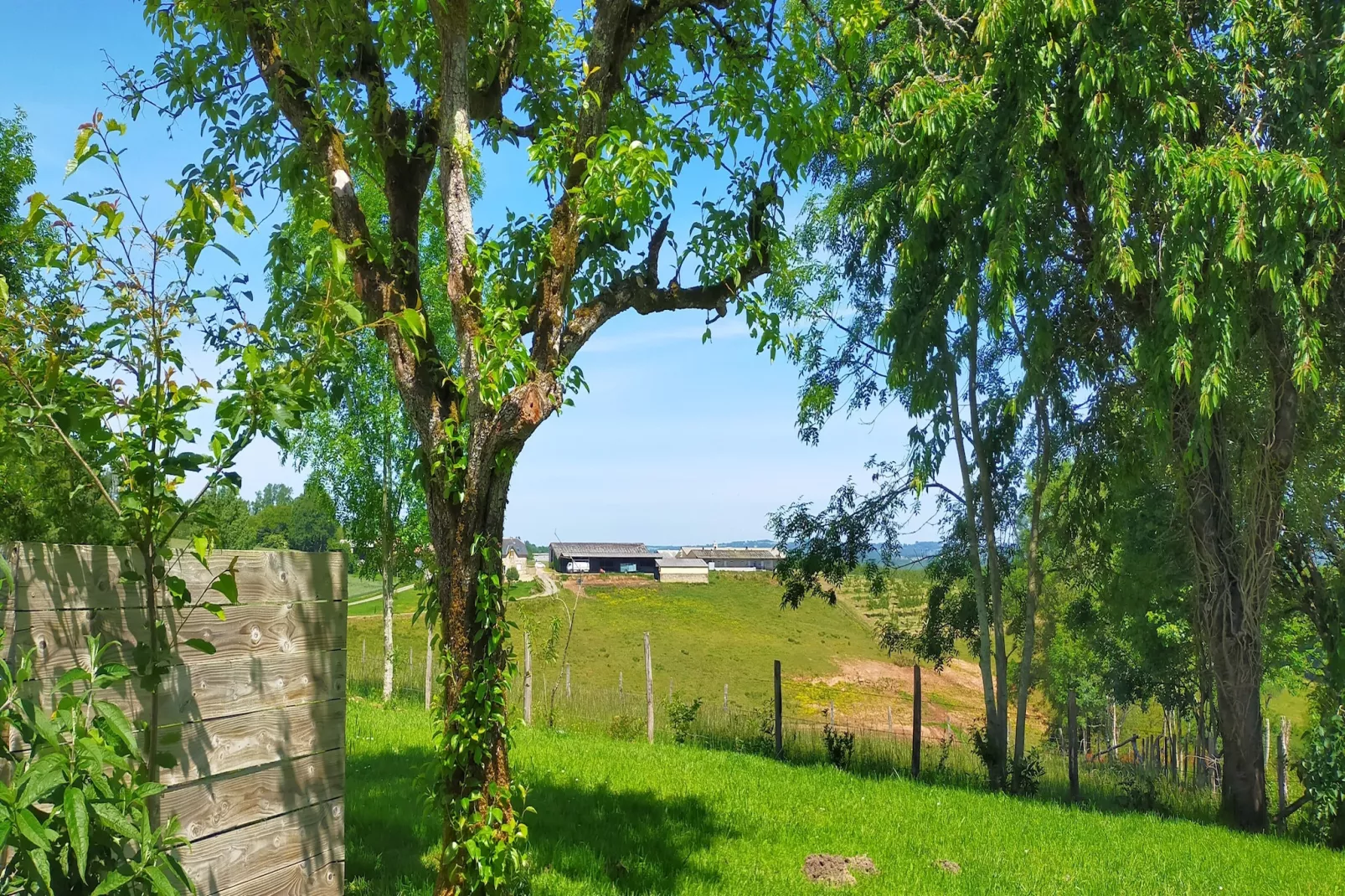 Maison de charme avec piscine à Coubejours-Areas summer 5km