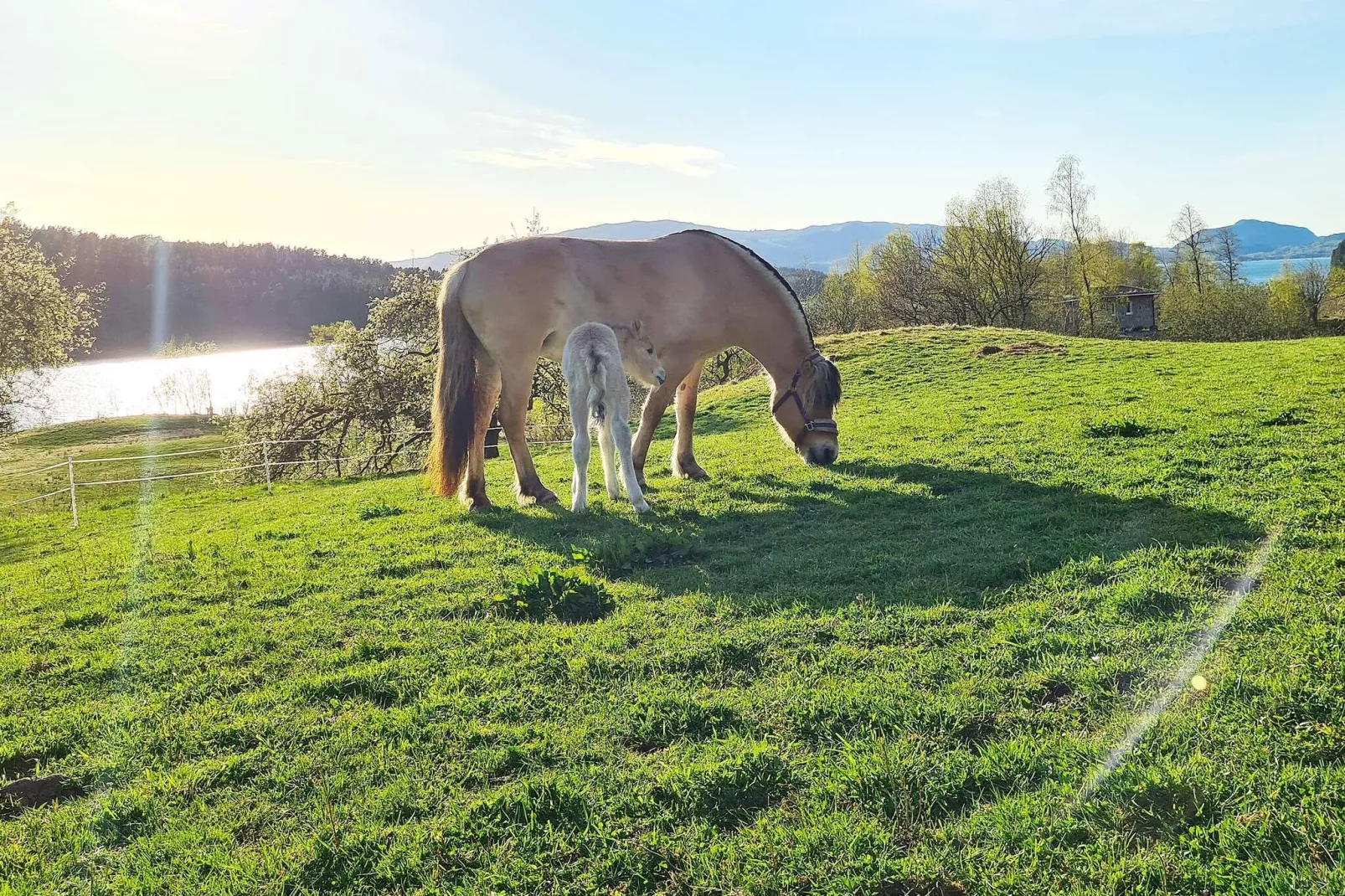 5 Personen Ferienhaus in LONEVÅG-By Traum-Nicht zugeordnet