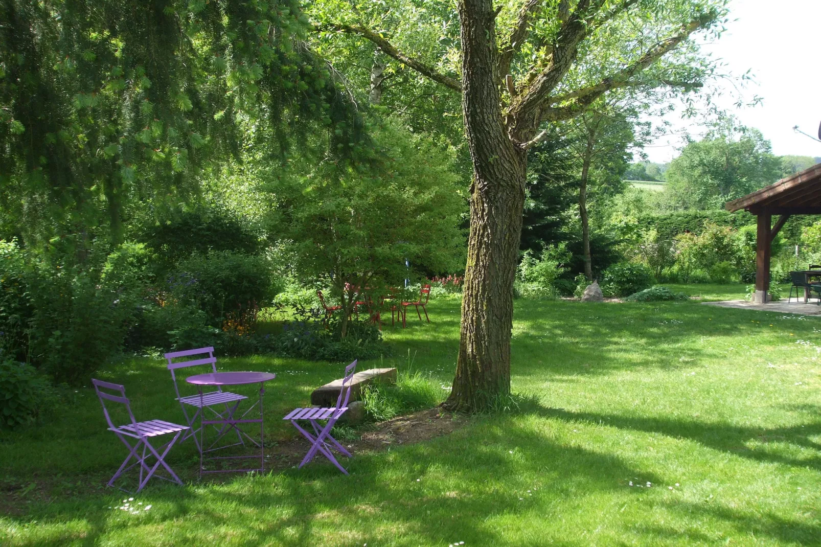 Le Dauphin bleu-View summer