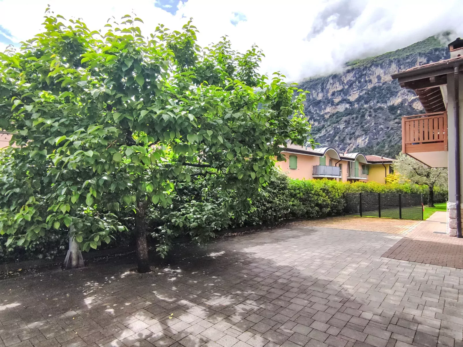 Calicantus - Nespolo-Outside